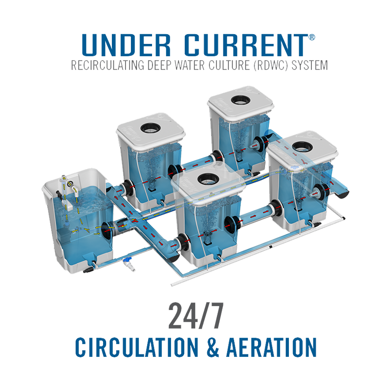 Recirculating Deep Water Culture (RDWC) 13-Gallon, 40″ Plant Spacing