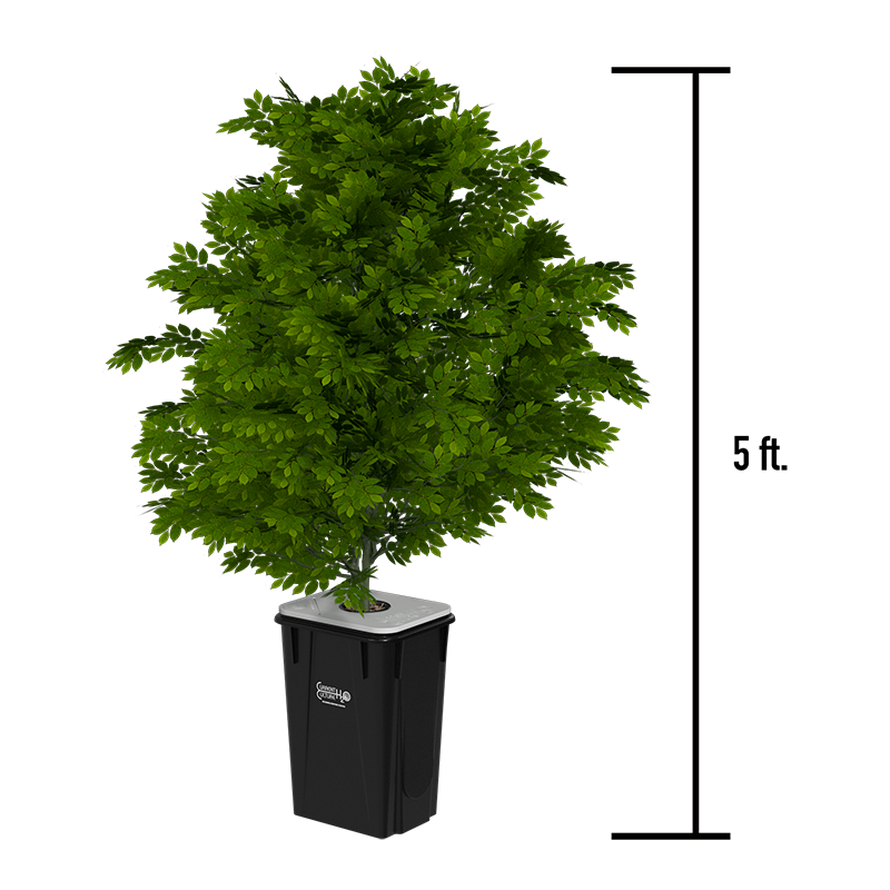 Recirculating Deep Water Culture (RDWC) 13-Gallon, 30″ Plant Spacing