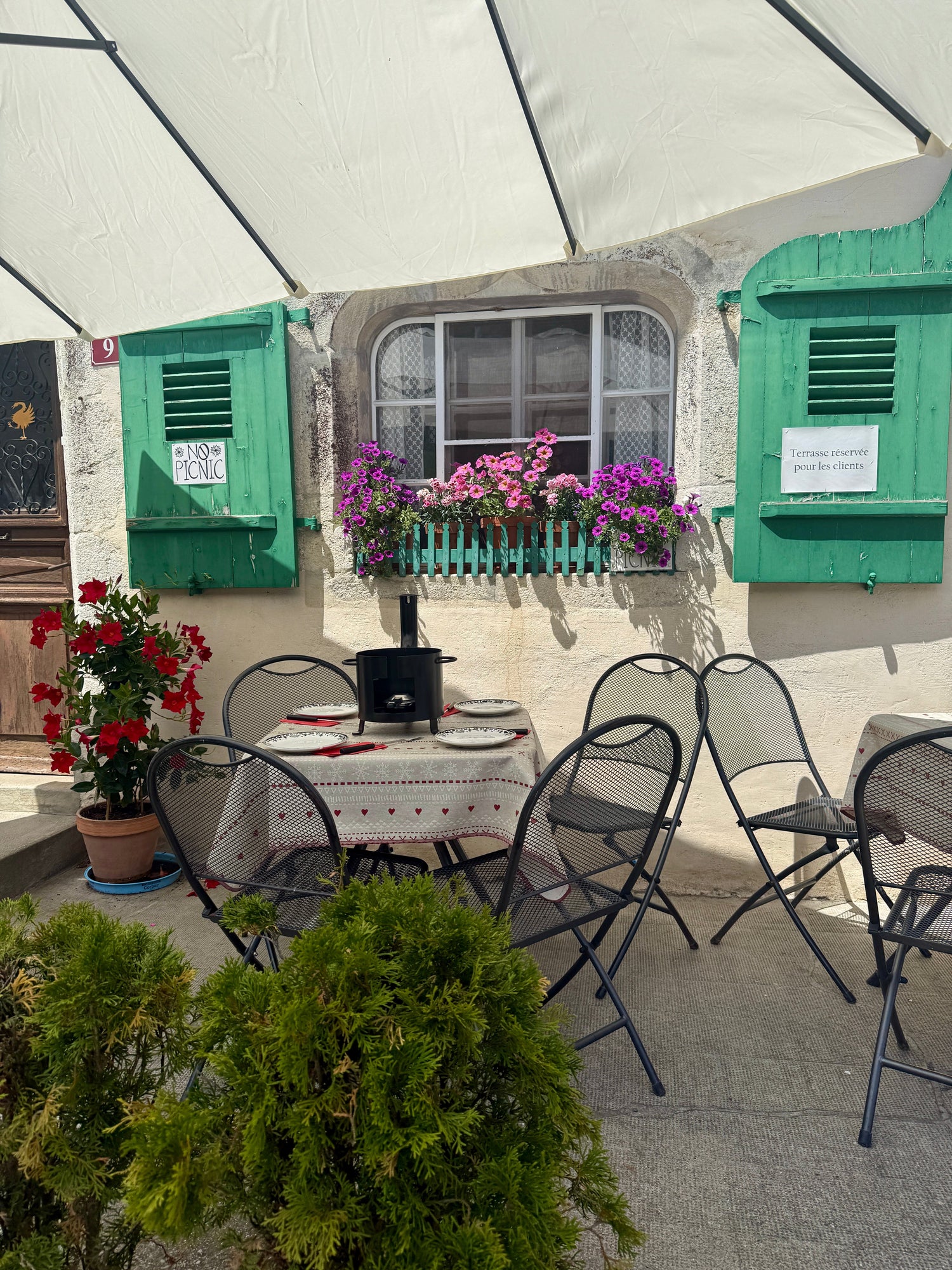 Why Outdoor Spaces Matter More Than Ever