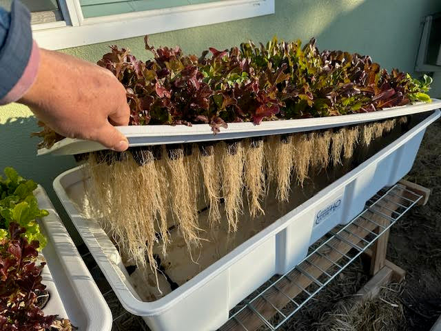 High Pressure Aeroponic Propagator (HPA), 840 SITE